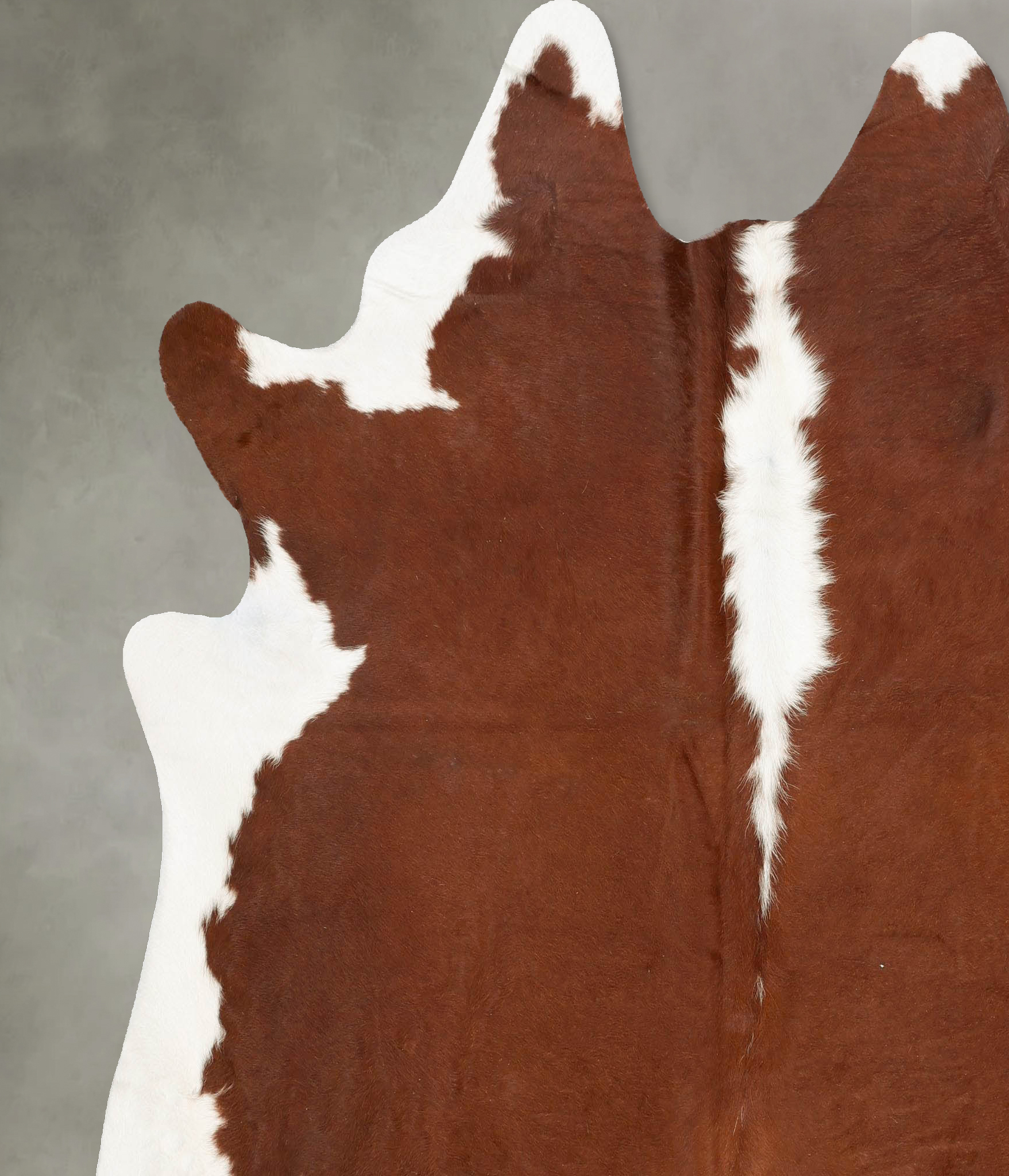 Hereford Cowhide Rug #B28564