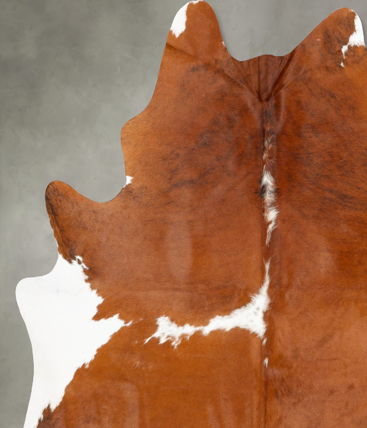 Brown and White XX-Large Brazilian Cowhide Rug 7'9"H x 6'11"W #B28565 by Hudson Hides