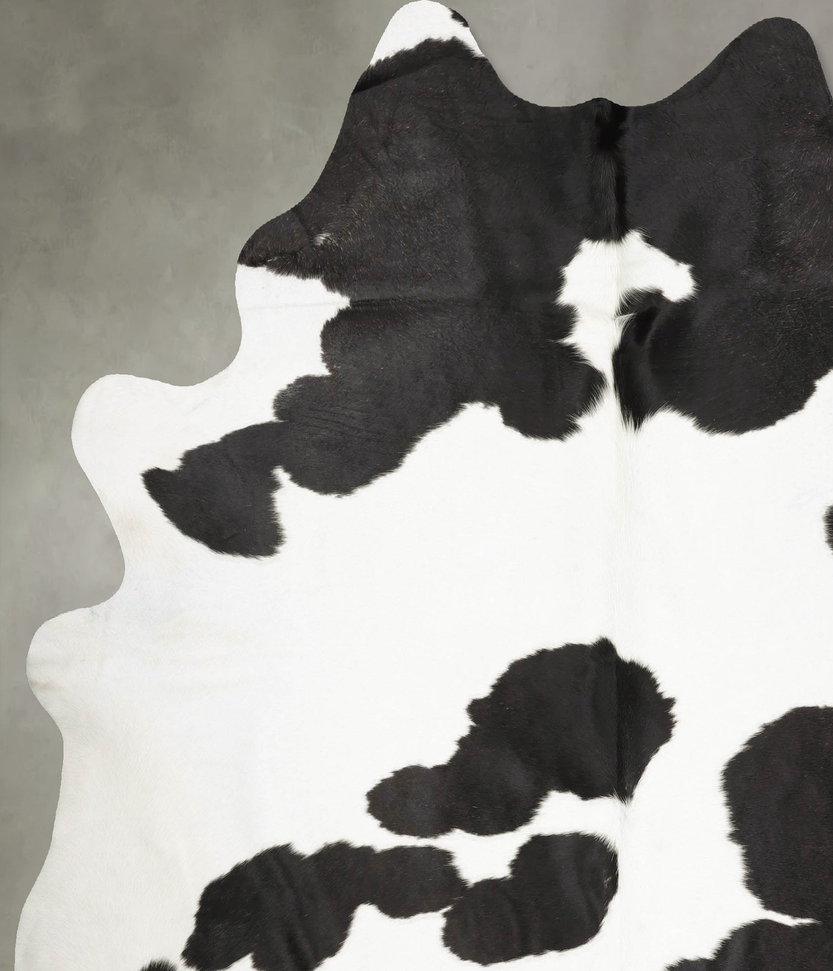 Black and White XX-Large Brazilian Cowhide Rug 8'2"H x 6'7"W #B28574 by Hudson Hides