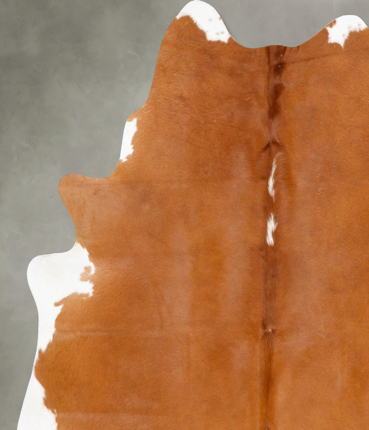 Brown and White Regular XX-Large Brazilian Cowhide Rug 8'4"H x 6'9"W #B28585 by Hudson Hides