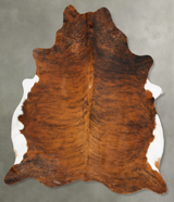 Medium Brindle XX-Large Brazilian Cowhide Rug 7'9"H x 6'10"W #B28596 by Hudson Hides