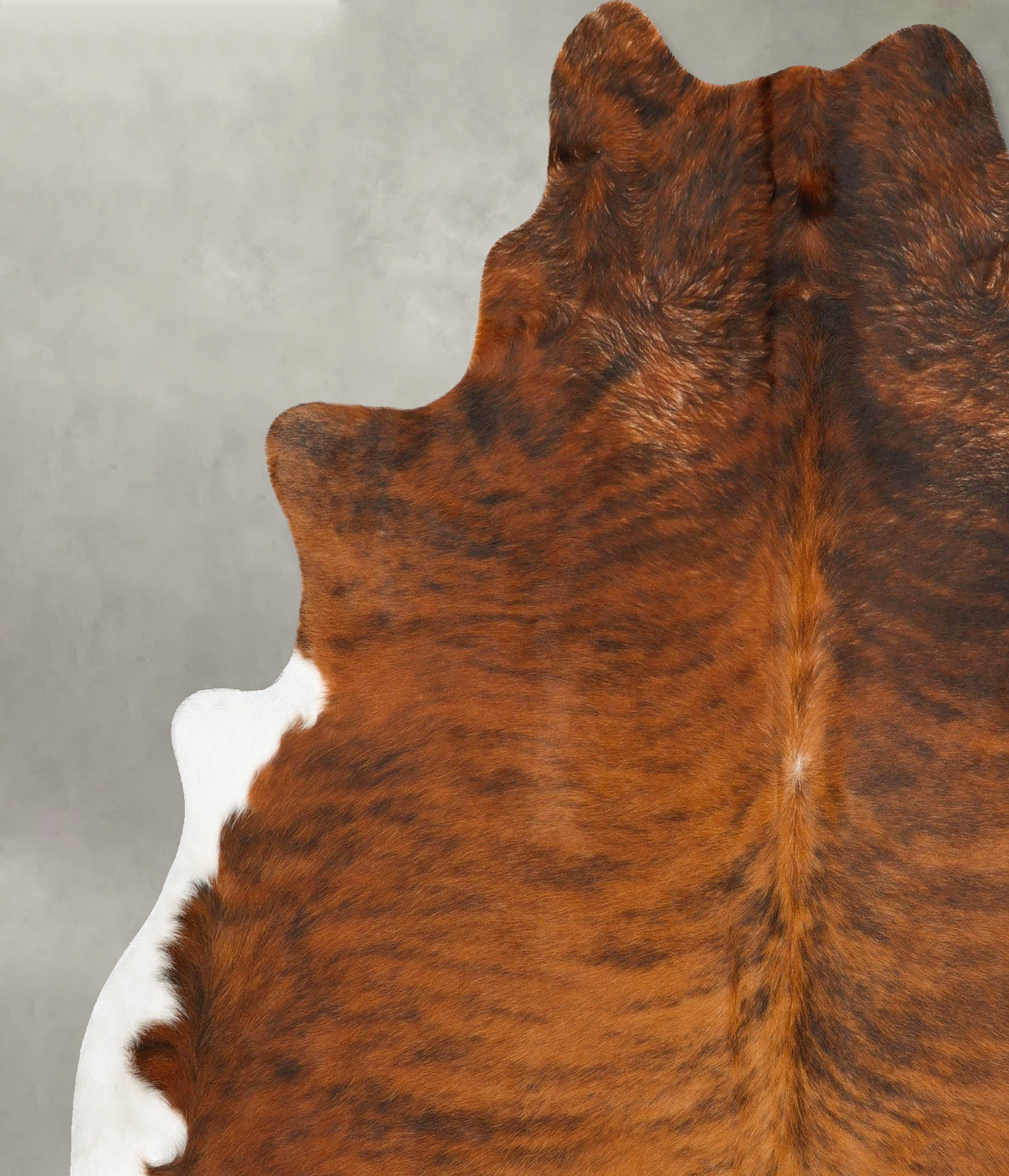 Medium Brindle XX-Large Brazilian Cowhide Rug 7'9"H x 6'10"W #B28596 by Hudson Hides
