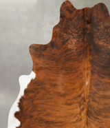 Medium Brindle XX-Large Brazilian Cowhide Rug 7'9"H x 6'10"W #B28596 by Hudson Hides