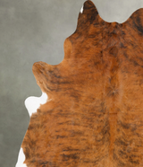Medium Brindle XX-Large Brazilian Cowhide Rug 8'9"H x 7'6"W #B28601 by Hudson Hides