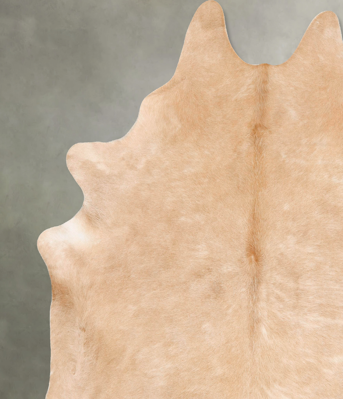 Palomino XX-Large Brazilian Cowhide Rug 8'7"H x 7'8"W #B28602 by Hudson Hides