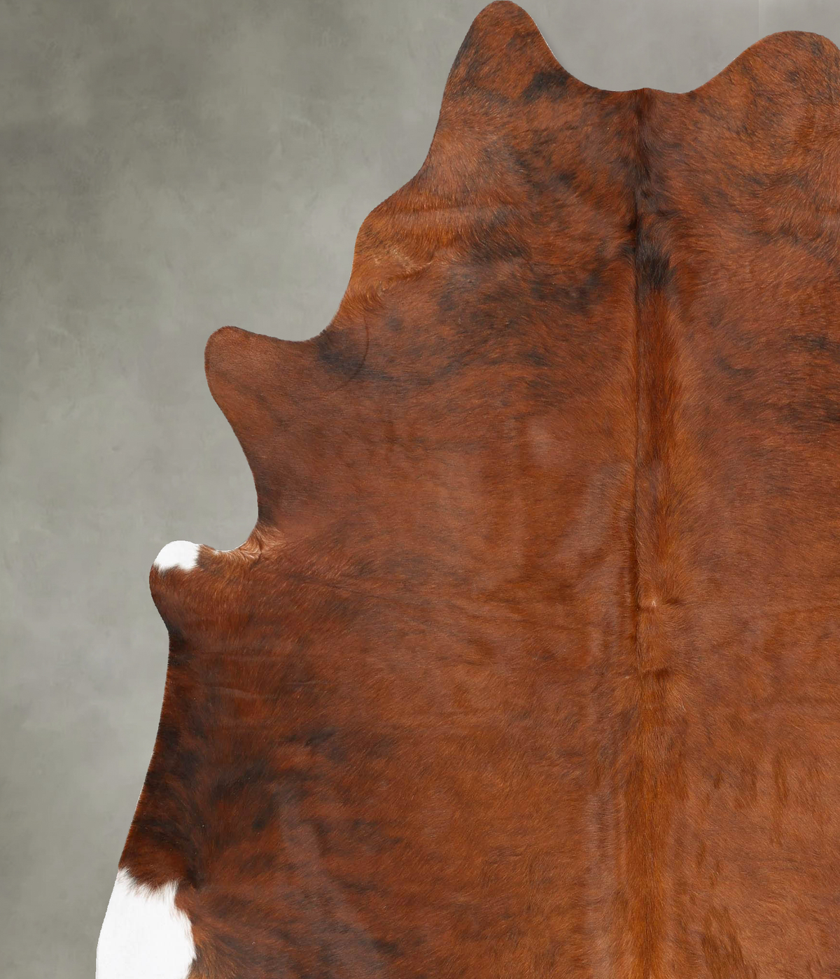 Medium Brindle XX-Large Brazilian Cowhide Rug 7'11"H x 6'10"W #B28604 by Hudson Hides