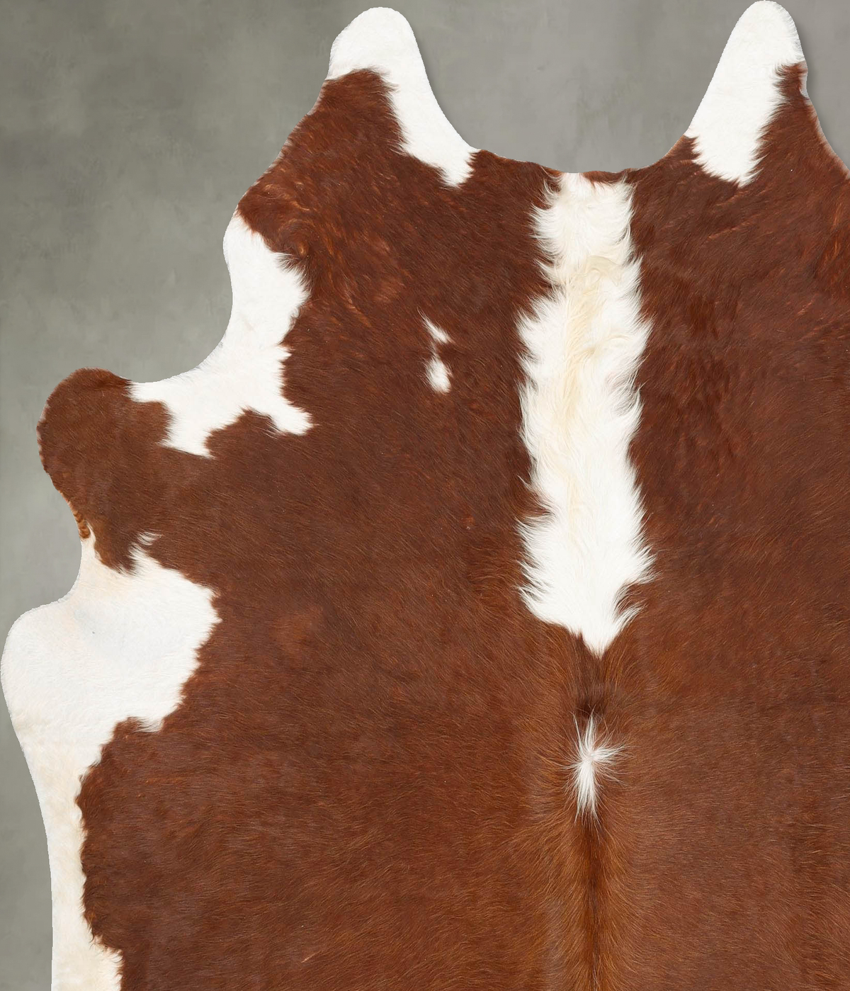Hereford X-Large Brazilian Cowhide Rug 7'1"H x 6'5"W #B28606 by Hudson Hides