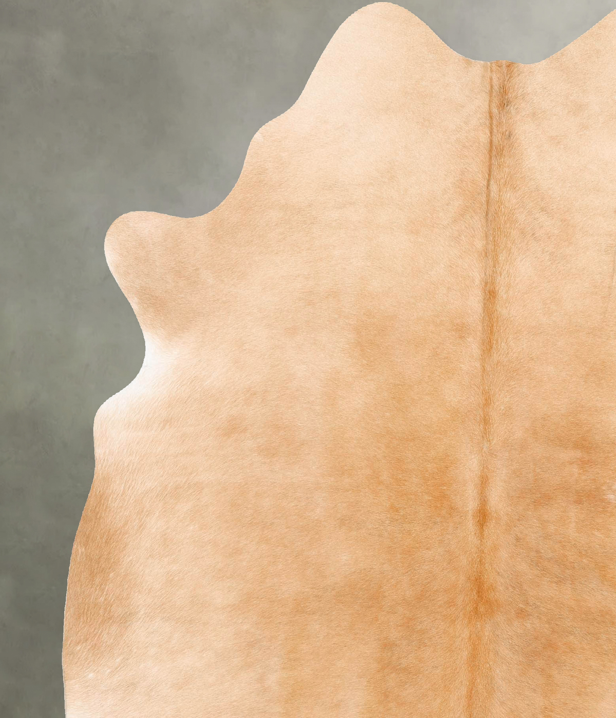 Beige X-Large Brazilian Cowhide Rug 7'2"H x 6'1"W #B28615 by Hudson Hides