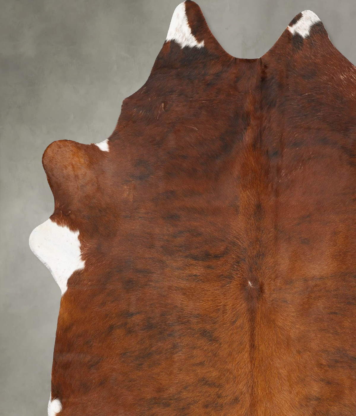 Medium Brindle XX-Large Brazilian Cowhide Rug 7'8"H x 6'11"W #B28618 by Hudson Hides