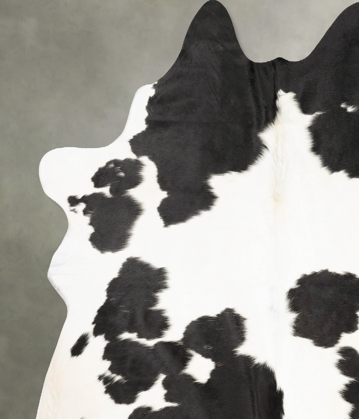 Black and White XX-Large Brazilian Cowhide Rug 7'11"H x 6'10"W #B28636 by Hudson Hides