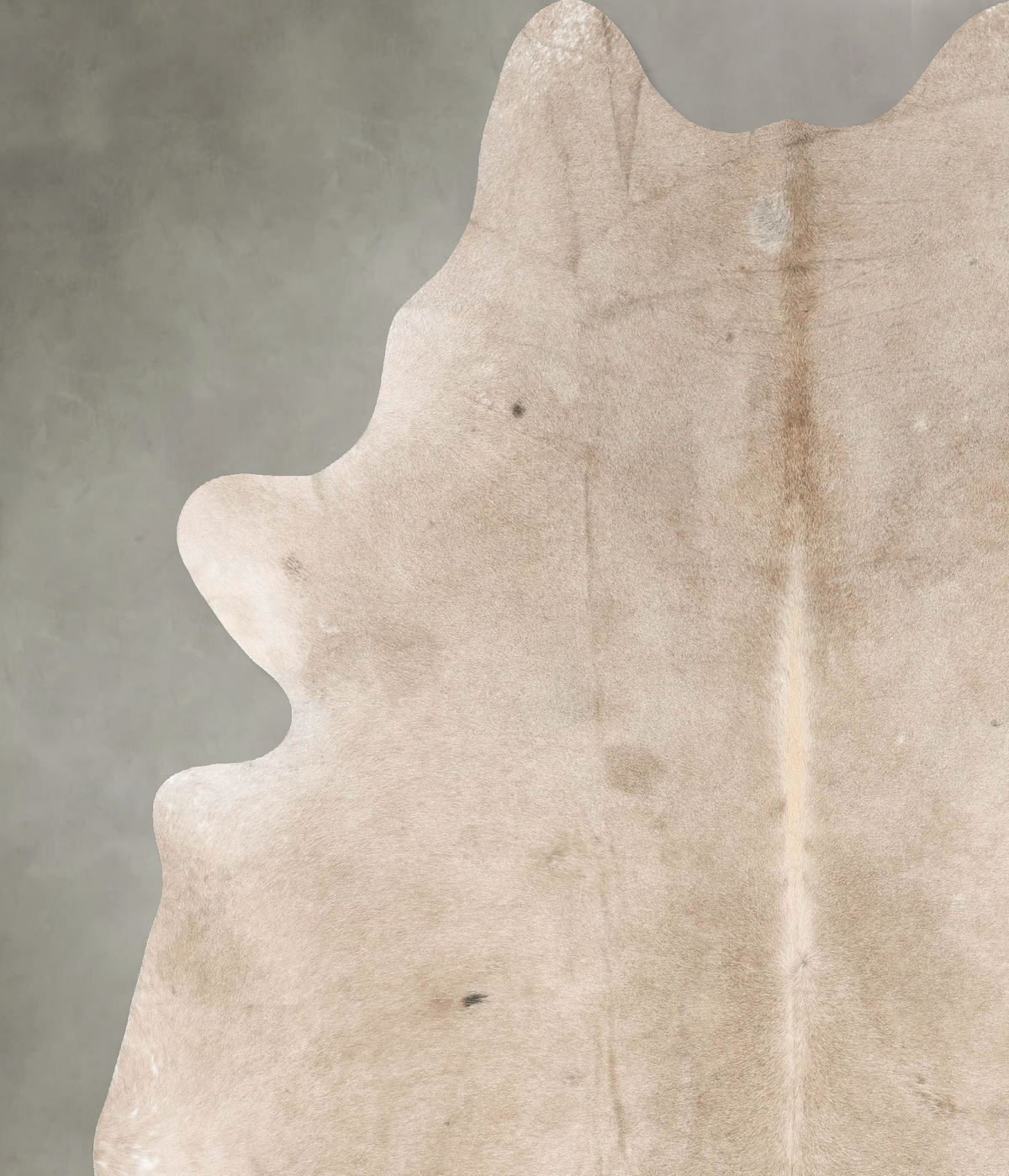 Champagne XX-Large Brazilian Cowhide Rug 8'9"H x 7'0"W #B28643 by Hudson Hides