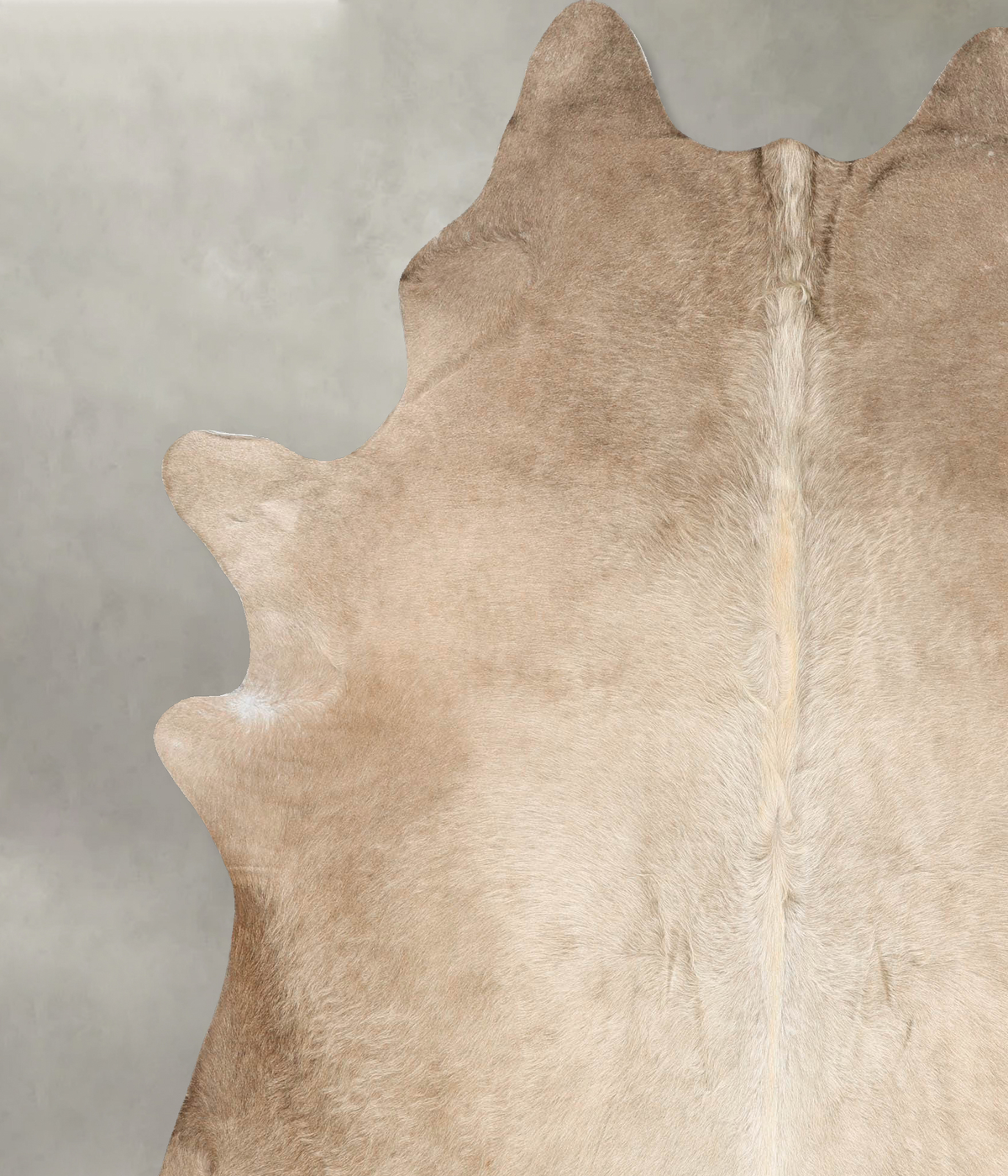 Champagne XX-Large Brazilian Cowhide Rug 7'11"H x 6'6"W #B28645 by Hudson Hides