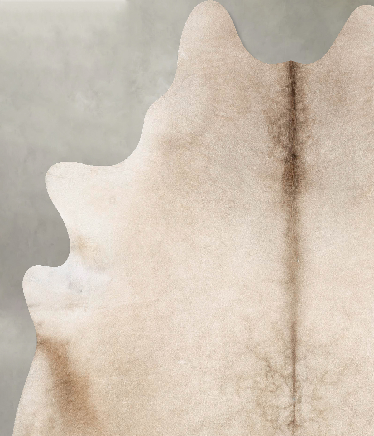 Champagne X-Large Brazilian Cowhide Rug 7'8"H x 6'3"W #B28649 by Hudson Hides