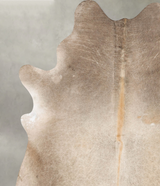 Champagne XX-Large Brazilian Cowhide Rug 8'7"H x 7'4"W #B28651 by Hudson Hides