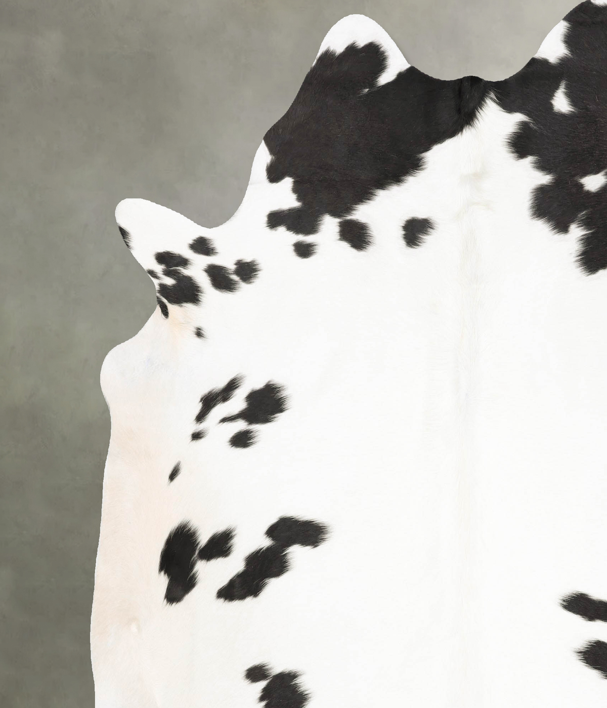 Black and White XX-Large Brazilian Cowhide Rug 7'11"H x 6'8"W #B28654 by Hudson Hides
