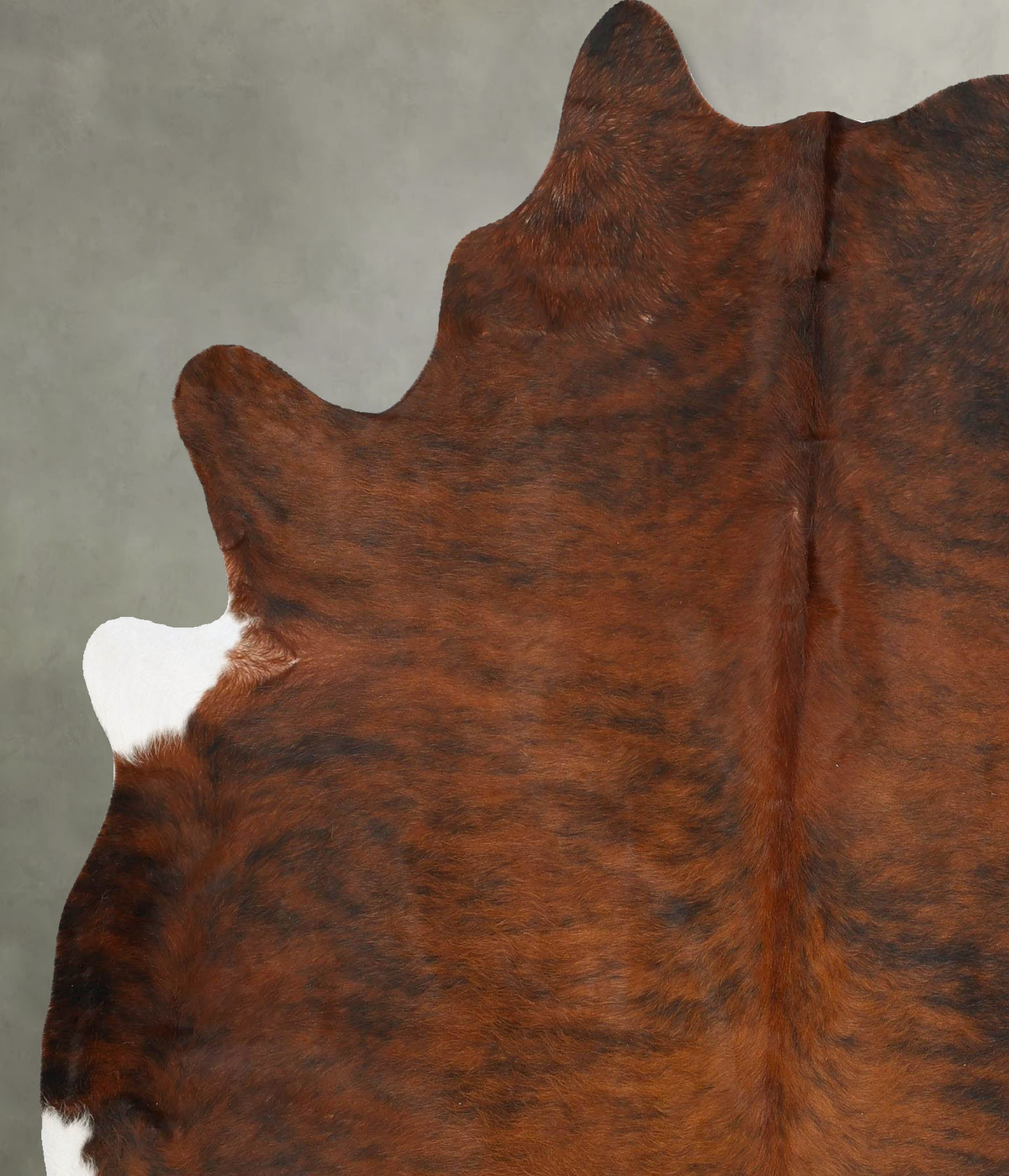 Dark Brindle X-Large Brazilian Cowhide Rug 7'4"H x 6'0"W #B28657 by Hudson Hides