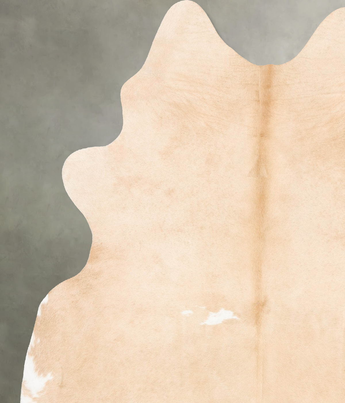 Palomino XX-Large Brazilian Cowhide Rug 8'1"H x 6'5"W #B28673 by Hudson Hides
