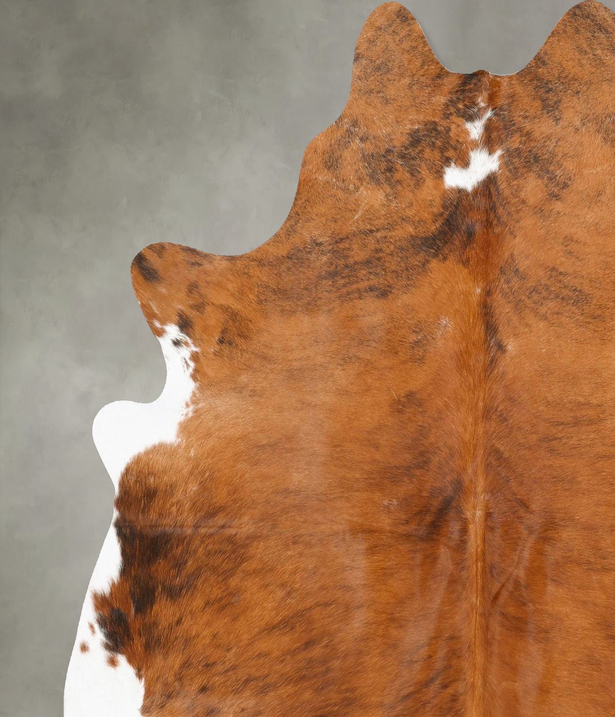 Medium Brindle X-Large Brazilian Cowhide Rug 7'5"H x 6'8"W #B28682 by Hudson Hides