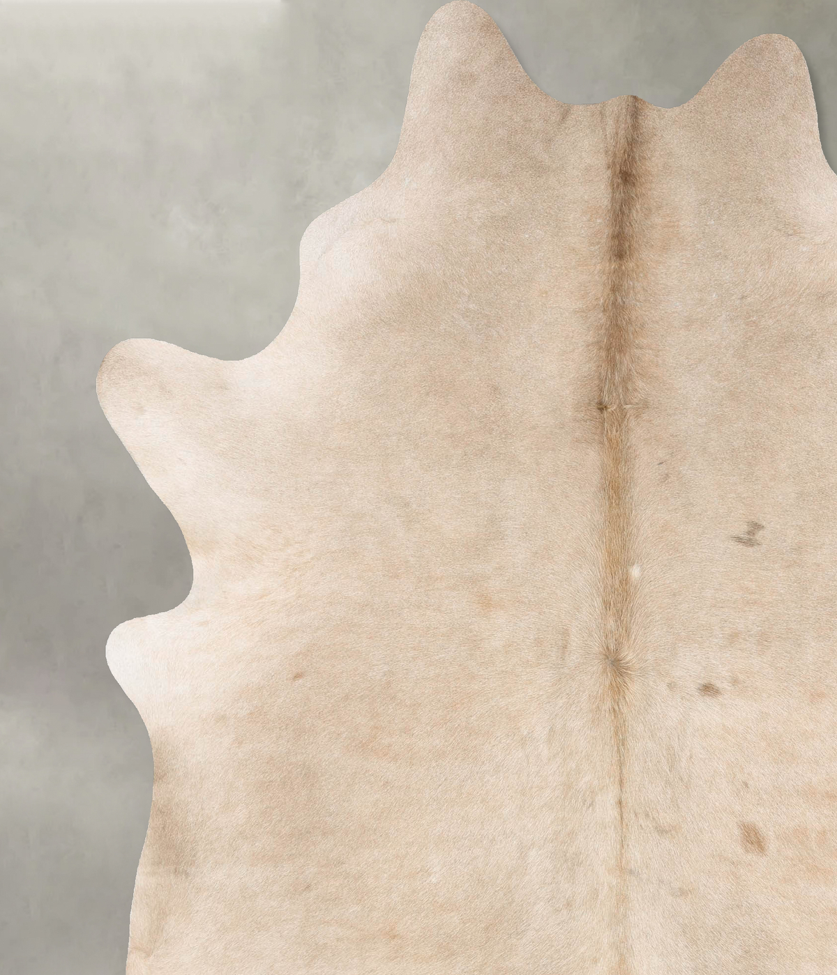 Champagne XX-Large Brazilian Cowhide Rug 8'1"H x 6'7"W #B28685 by Hudson Hides