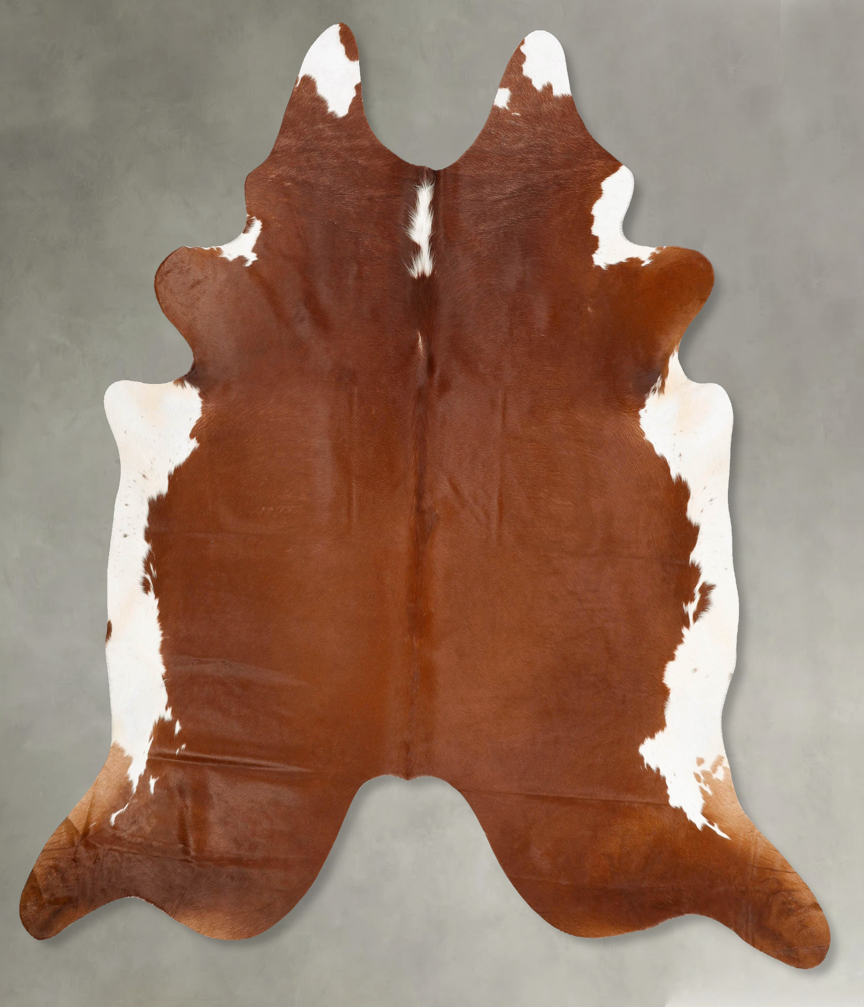 Brown and White Regular Cowhide Rug #B28690