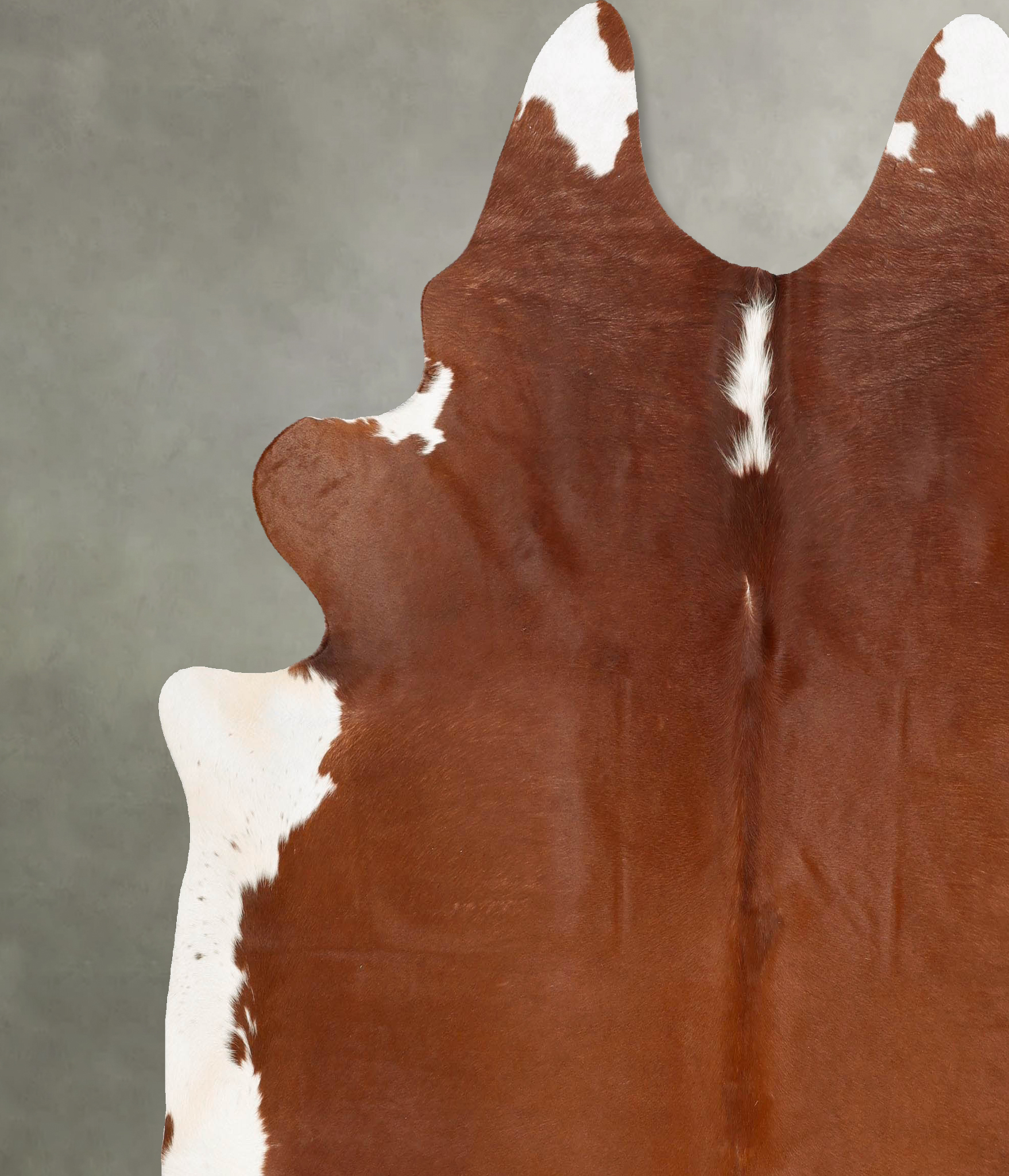 Brown and White Regular Cowhide Rug #B28690