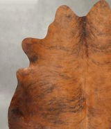 Medium Brindle X-Large Brazilian Cowhide Rug 7'4"H x 6'10"W #B28692 by Hudson Hides
