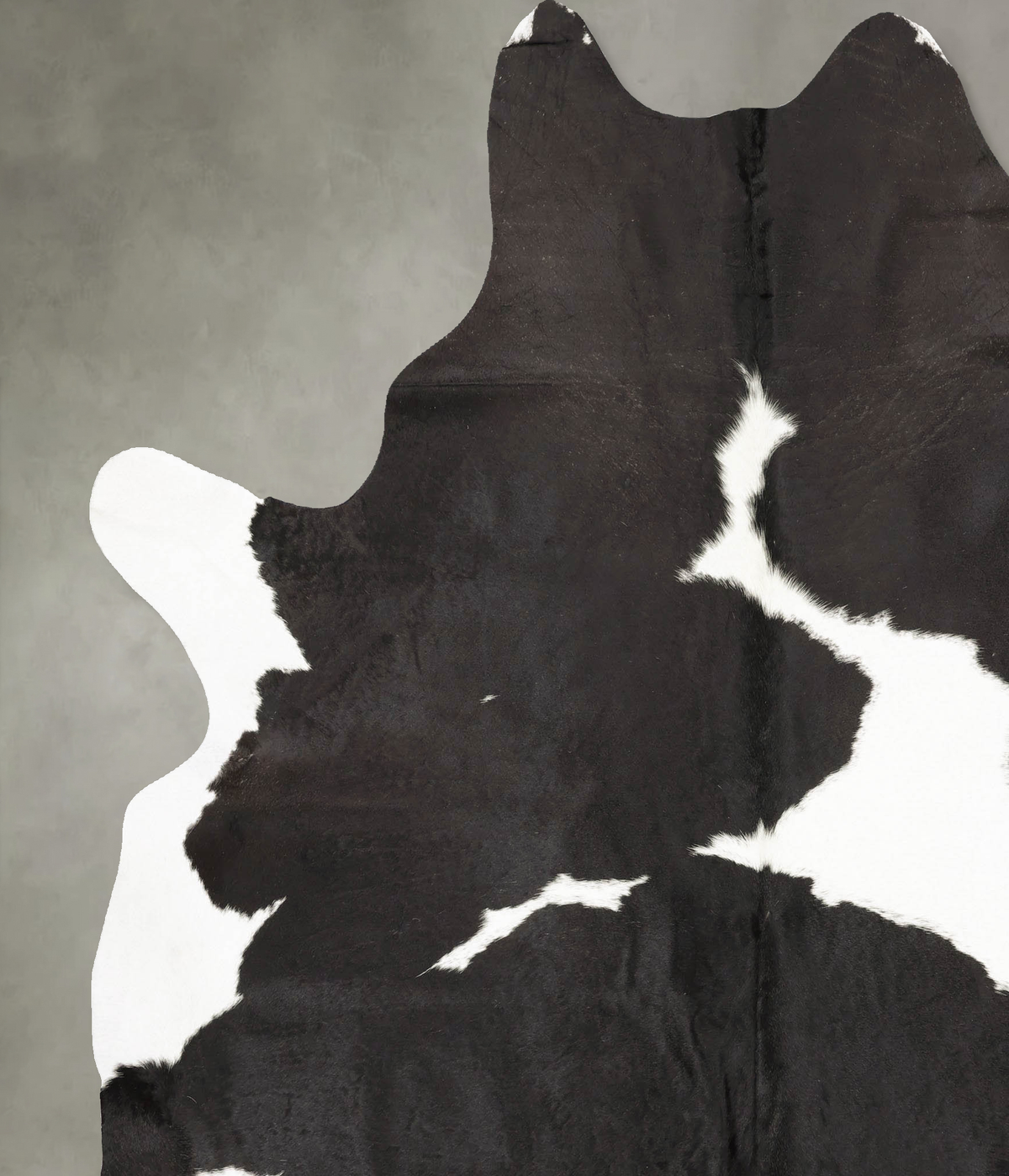 Black and White XX-Large Brazilian Cowhide Rug 8'4"H x 6'10"W #B28705 by Hudson Hides