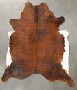 Medium Brindle XX-Large Brazilian Cowhide Rug 7'9"H x 7'2"W #B28708 by Hudson Hides