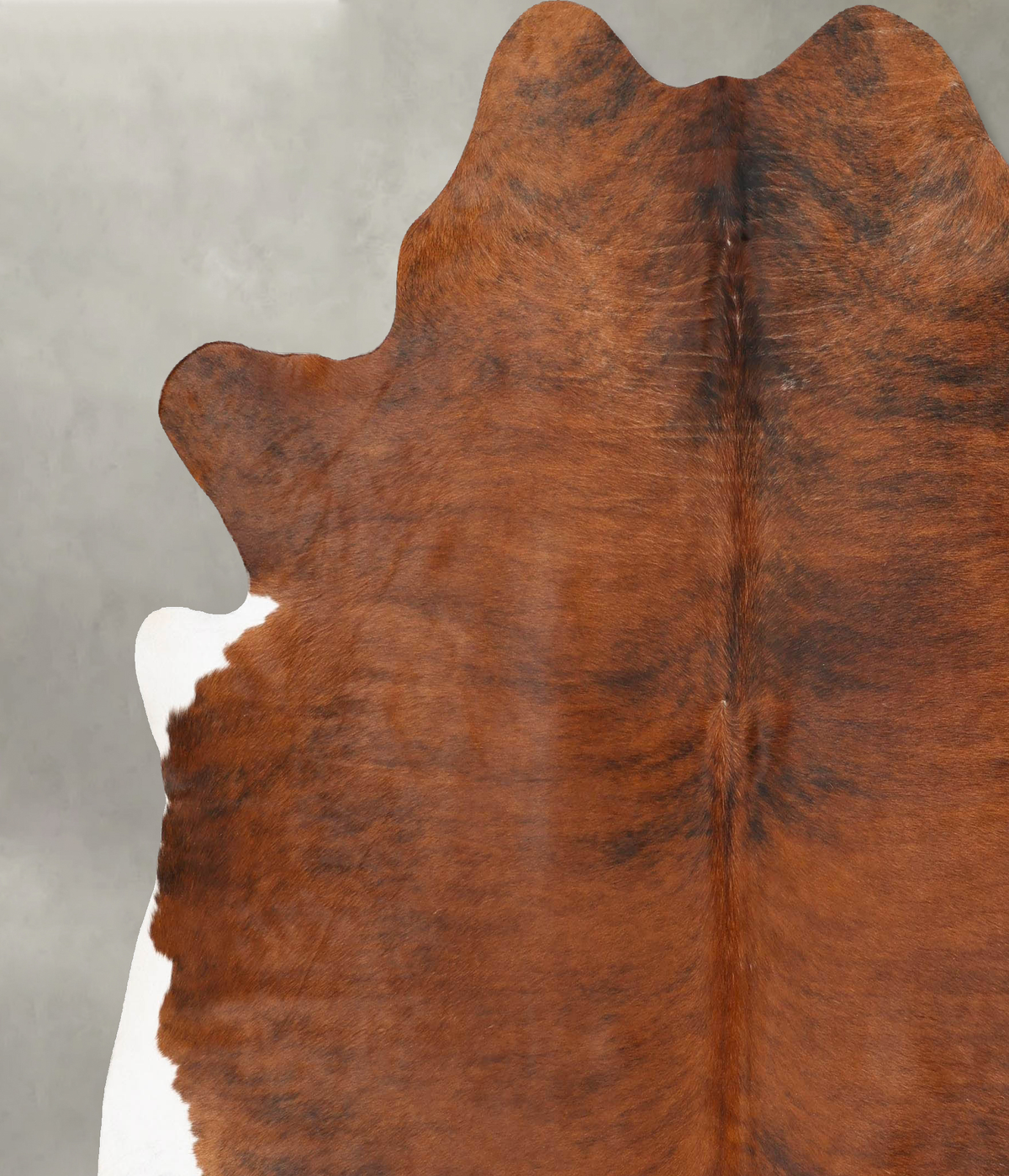 Medium Brindle XX-Large Brazilian Cowhide Rug 7'9"H x 7'2"W #B28708 by Hudson Hides
