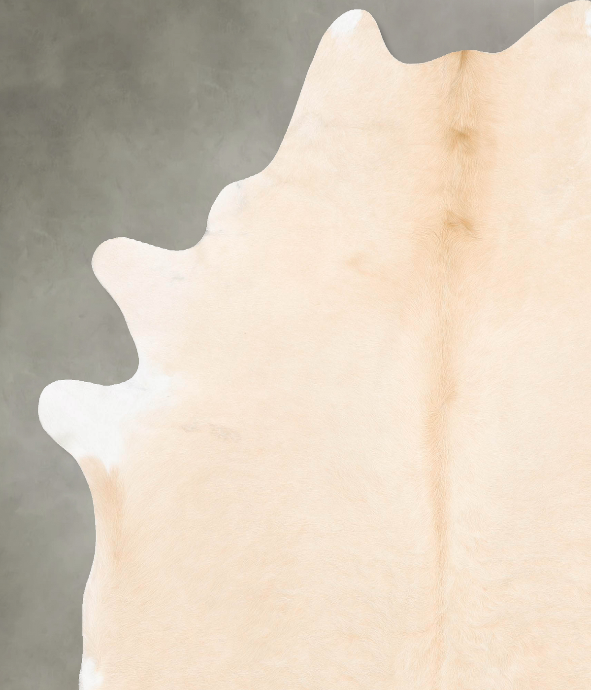 Palomino XX-Large Brazilian Cowhide Rug 8'4"H x 6'8"W #B28715 by Hudson Hides
