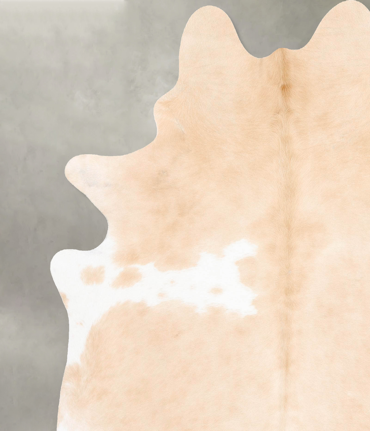 Beige and White X-Large Brazilian Cowhide Rug 7'11"H x 6'3"W #B28724 by Hudson Hides