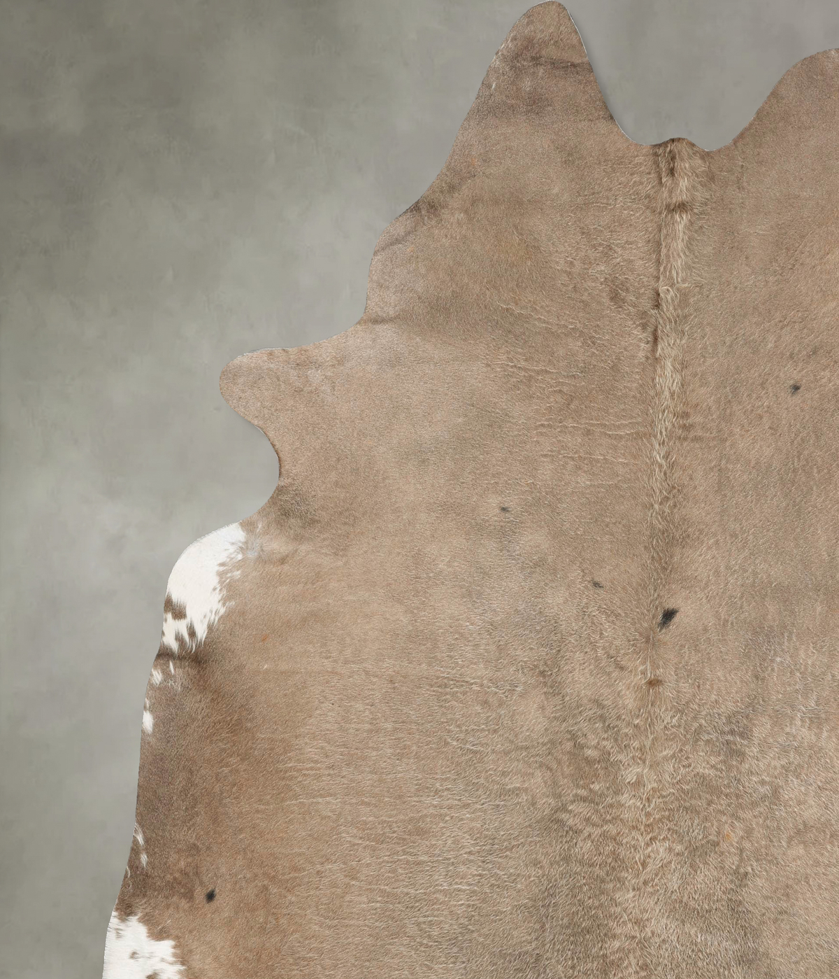 Champagne XX-Large Brazilian Cowhide Rug 8'8"H x 7'6"W #B28739 by Hudson Hides