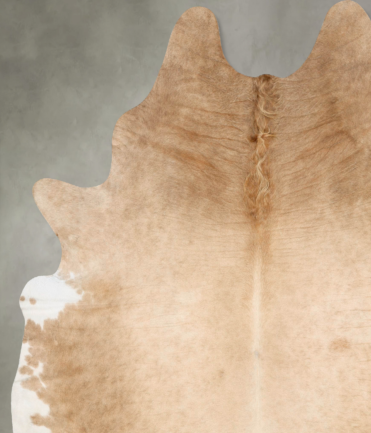 Champagne XX-Large Brazilian Cowhide Rug 8'6"H x 6'10"W #B28742 by Hudson Hides