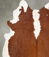 Hereford XX-Large Brazilian Cowhide Rug 8'3"H x 7'2"W #B28743 by Hudson Hides
