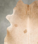 Champagne XX-Large Brazilian Cowhide Rug 7'11"H x 7'2"W #B28759 by Hudson Hides