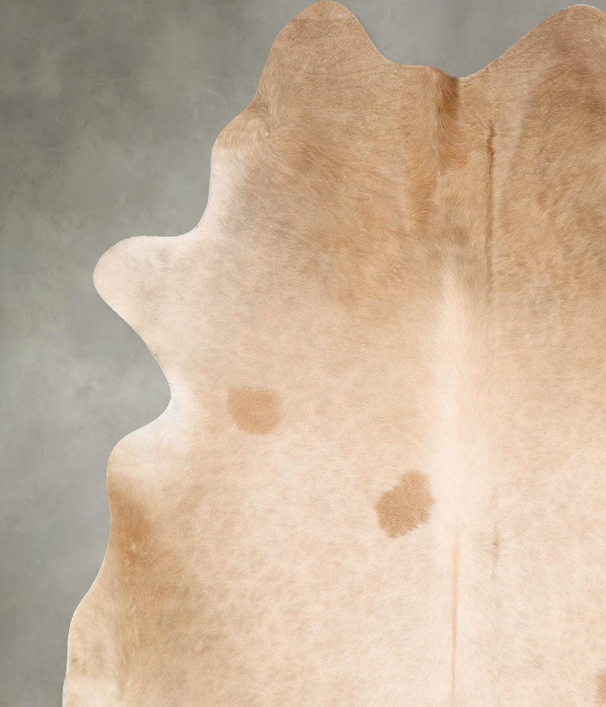 Champagne Cowhide Rug #B28759