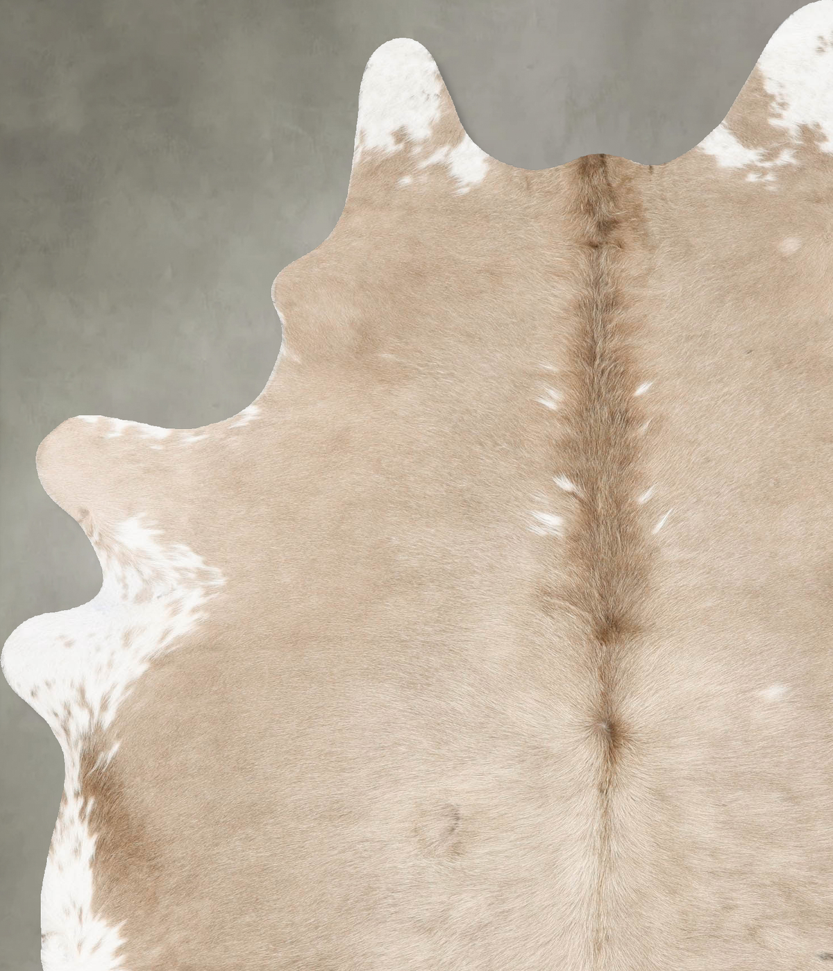 Champagne X-Large Brazilian Cowhide Rug 8'2"H x 5'9"W #B28762 by Hudson Hides