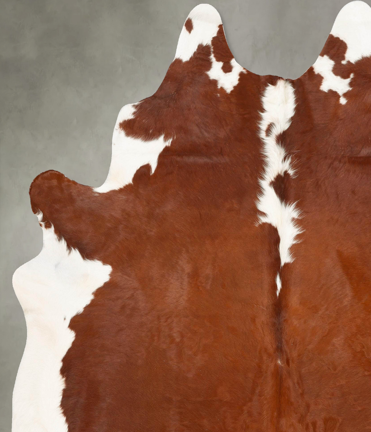 Hereford XX-Large Brazilian Cowhide Rug 8'3"H x 6'6"W #B28764 by Hudson Hides