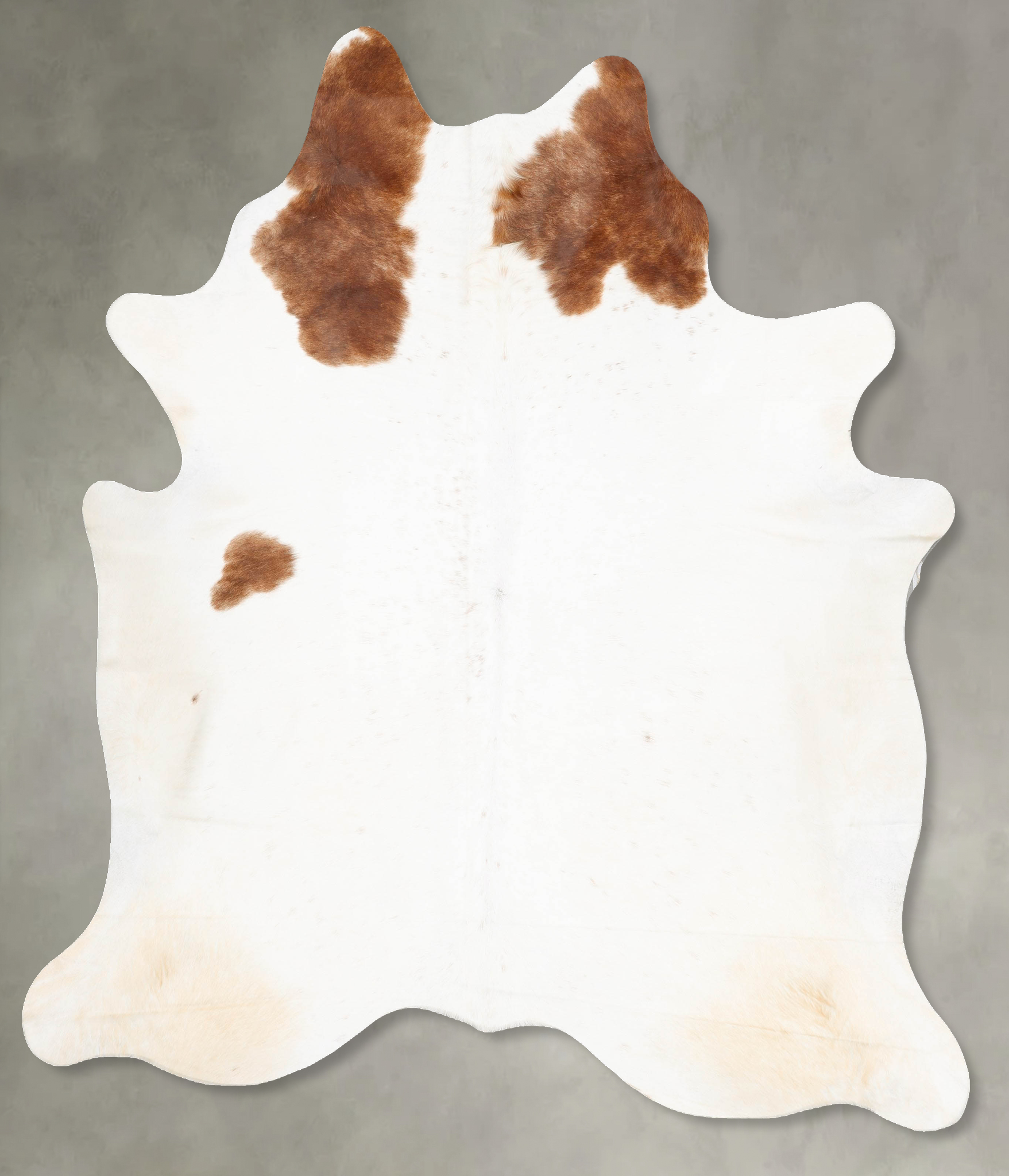 Brown and White Regular Cowhide Rug #B28768