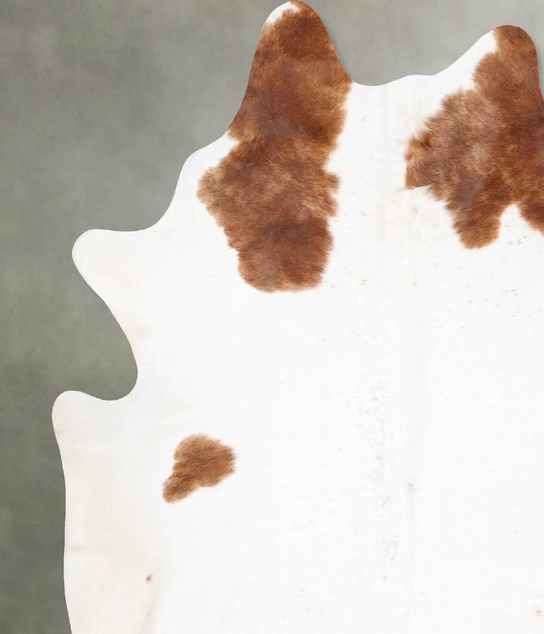 Brown and White Regular Cowhide Rug #B28768