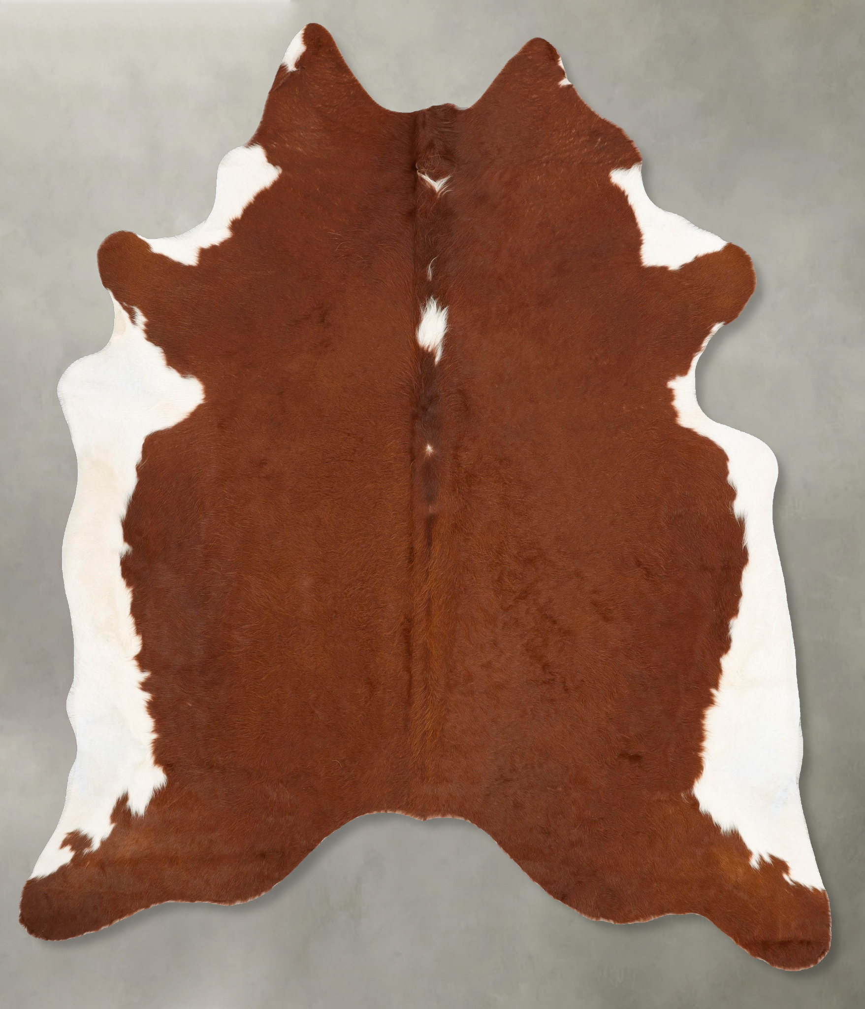 Brown and White Regular Cowhide Rug #B28771
