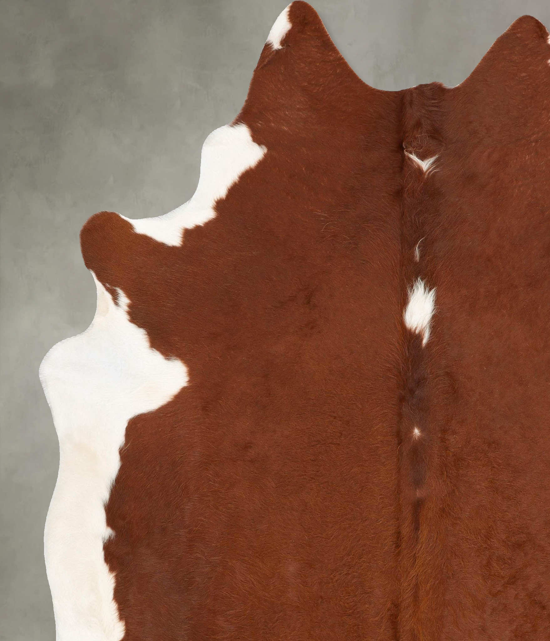 Brown and White Regular Cowhide Rug #B28771