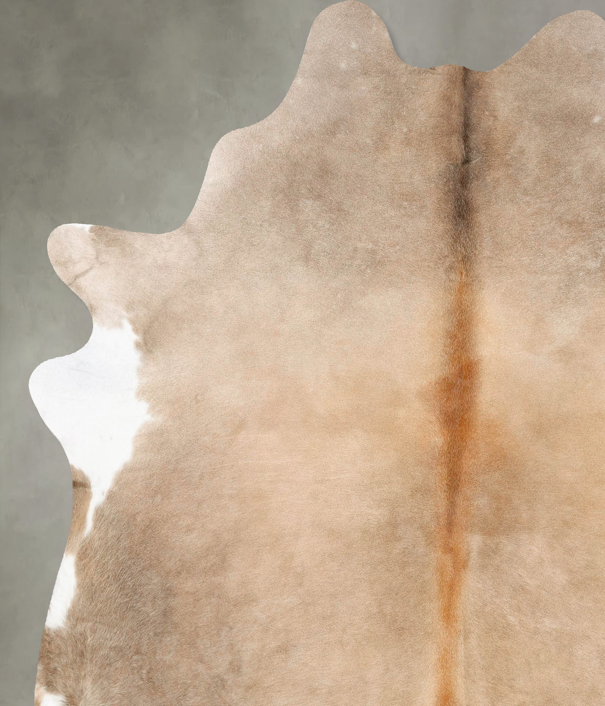 Taupe XX-Large Brazilian Cowhide Rug 7'10"H x 6'10"W #B28776 by Hudson Hides