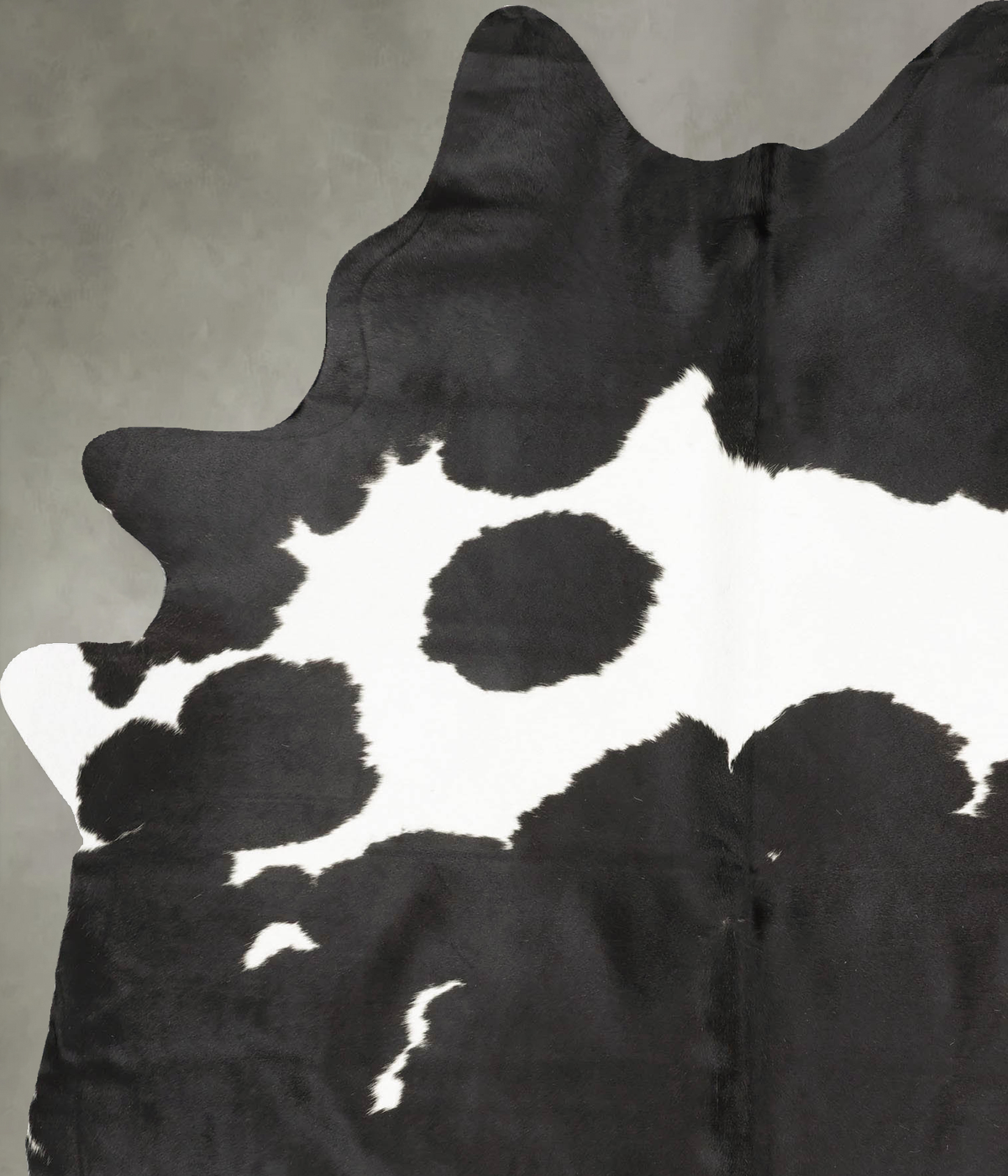 Black and White X-Large Brazilian Cowhide Rug 7'8"H x 5'11"W #B28782 by Hudson Hides