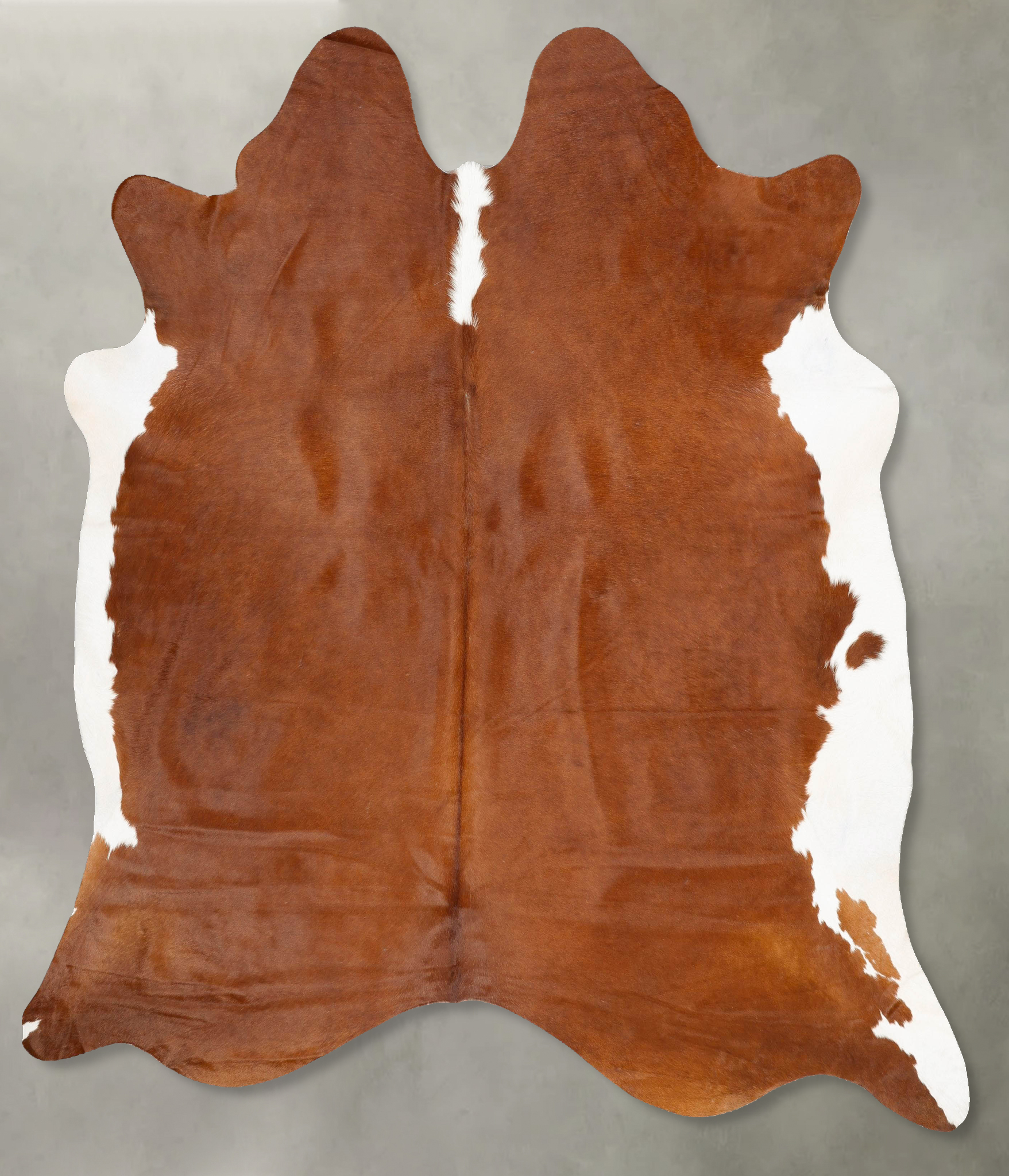Brown and White Regular Cowhide Rug #B28814