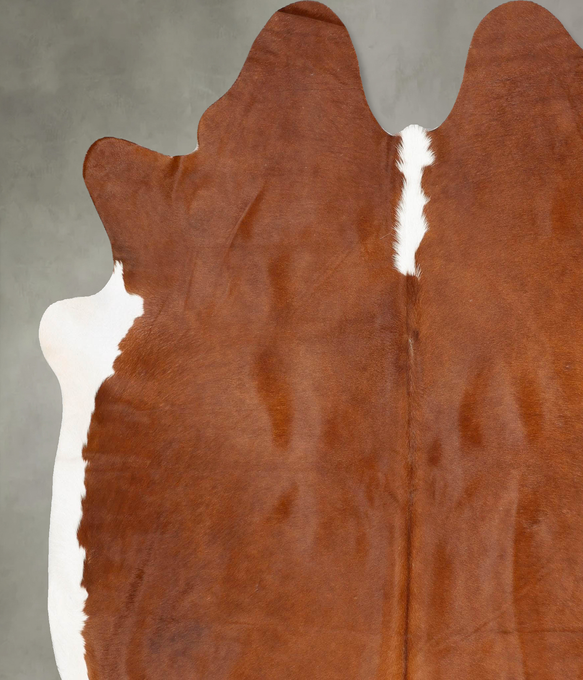 Brown and White Regular XX-Large Brazilian Cowhide Rug 7'8"H x 6'11"W #B28814 by Hudson Hides