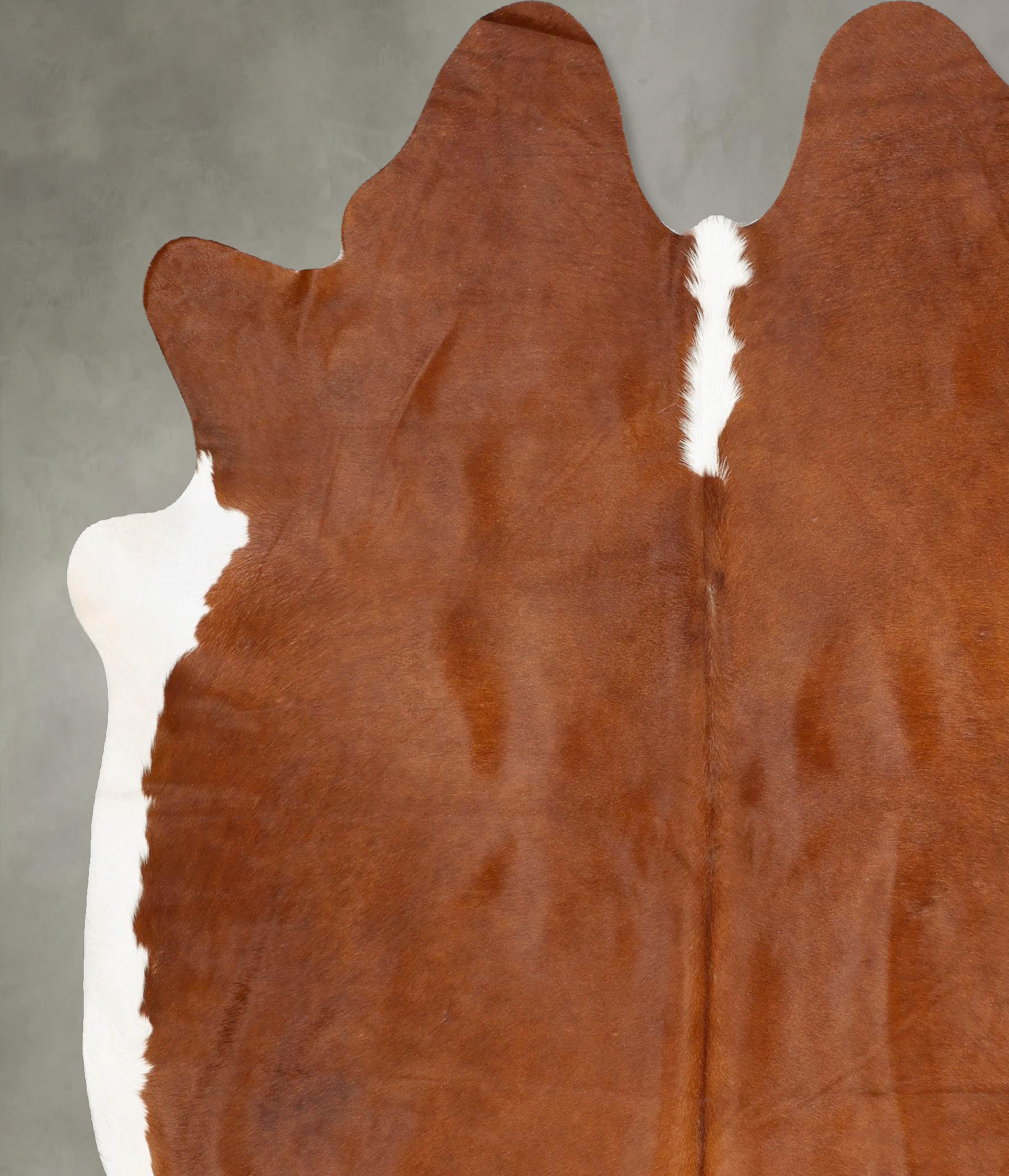 Brown and White Regular Cowhide Rug #B28814