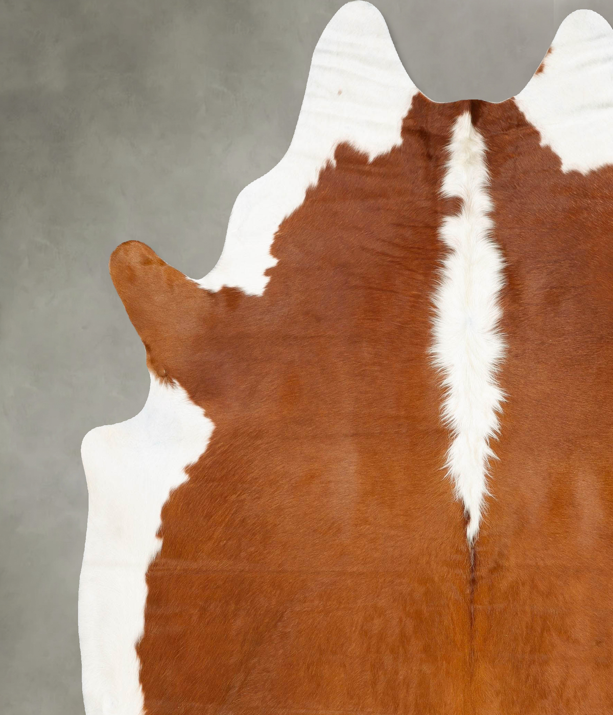 Hereford XX-Large Brazilian Cowhide Rug 8'3"H x 7'0"W #B28815 by Hudson Hides