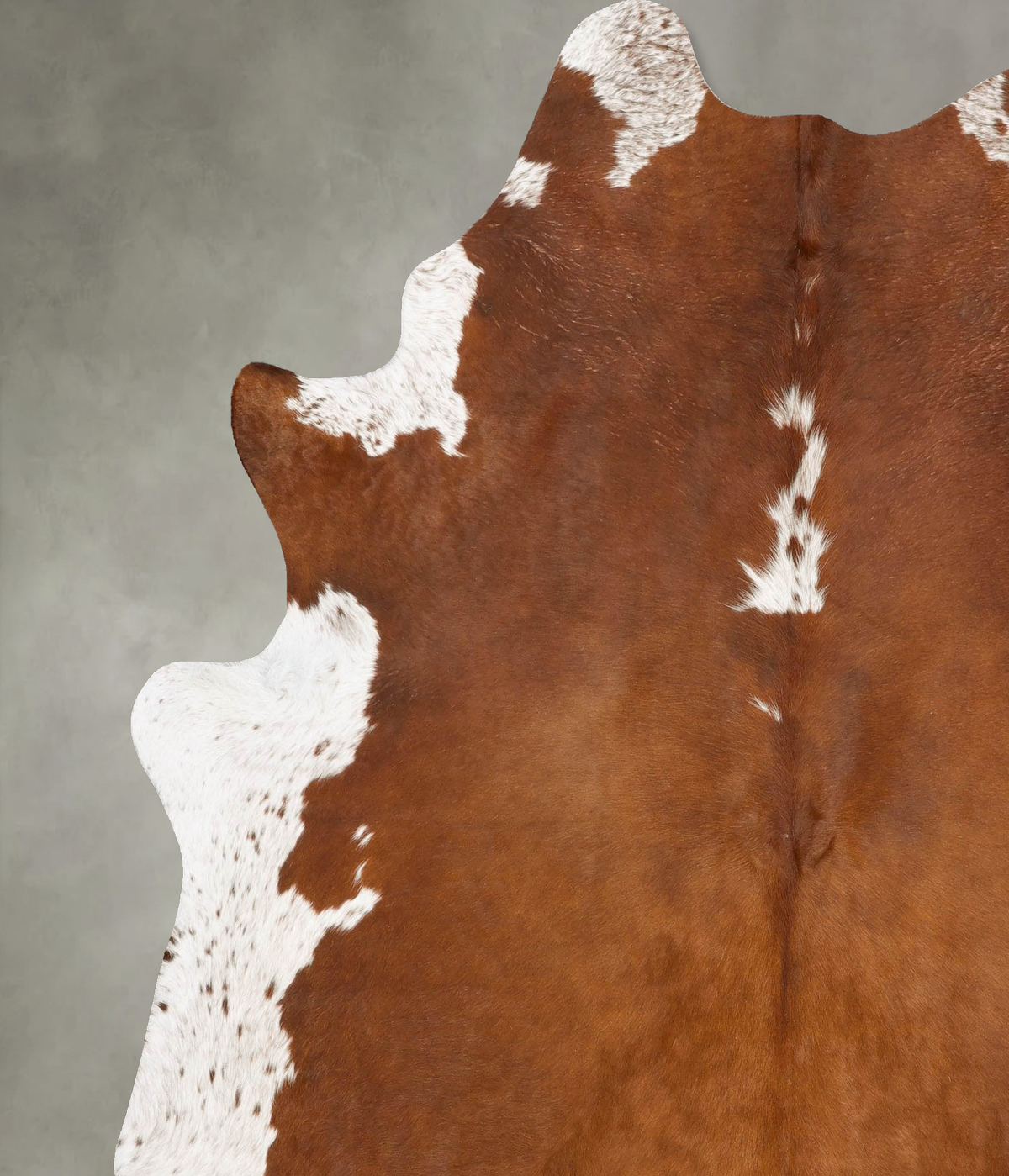 Brown and White Regular XX-Large Brazilian Cowhide Rug 8'1"H x 6'9"W #B28827 by Hudson Hides