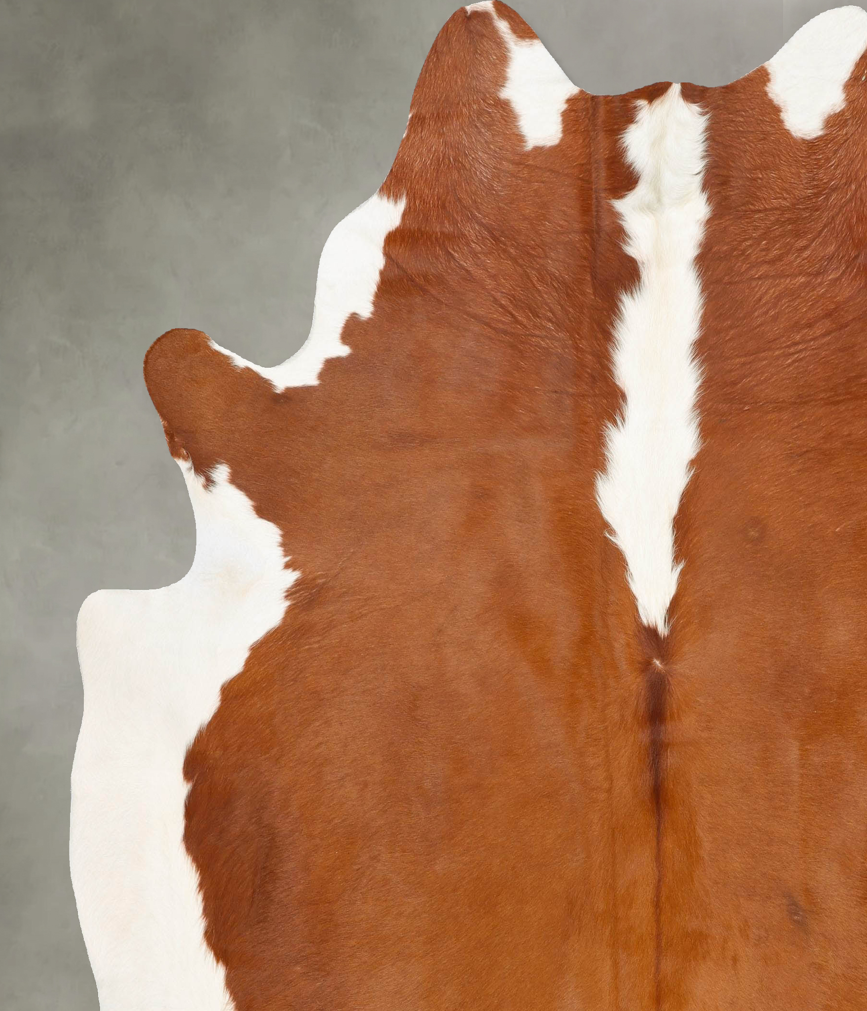 Hereford Cowhide Rug #B28849